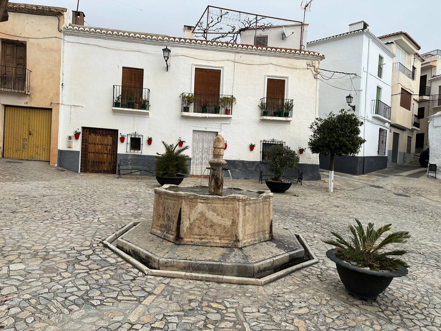 Cañar