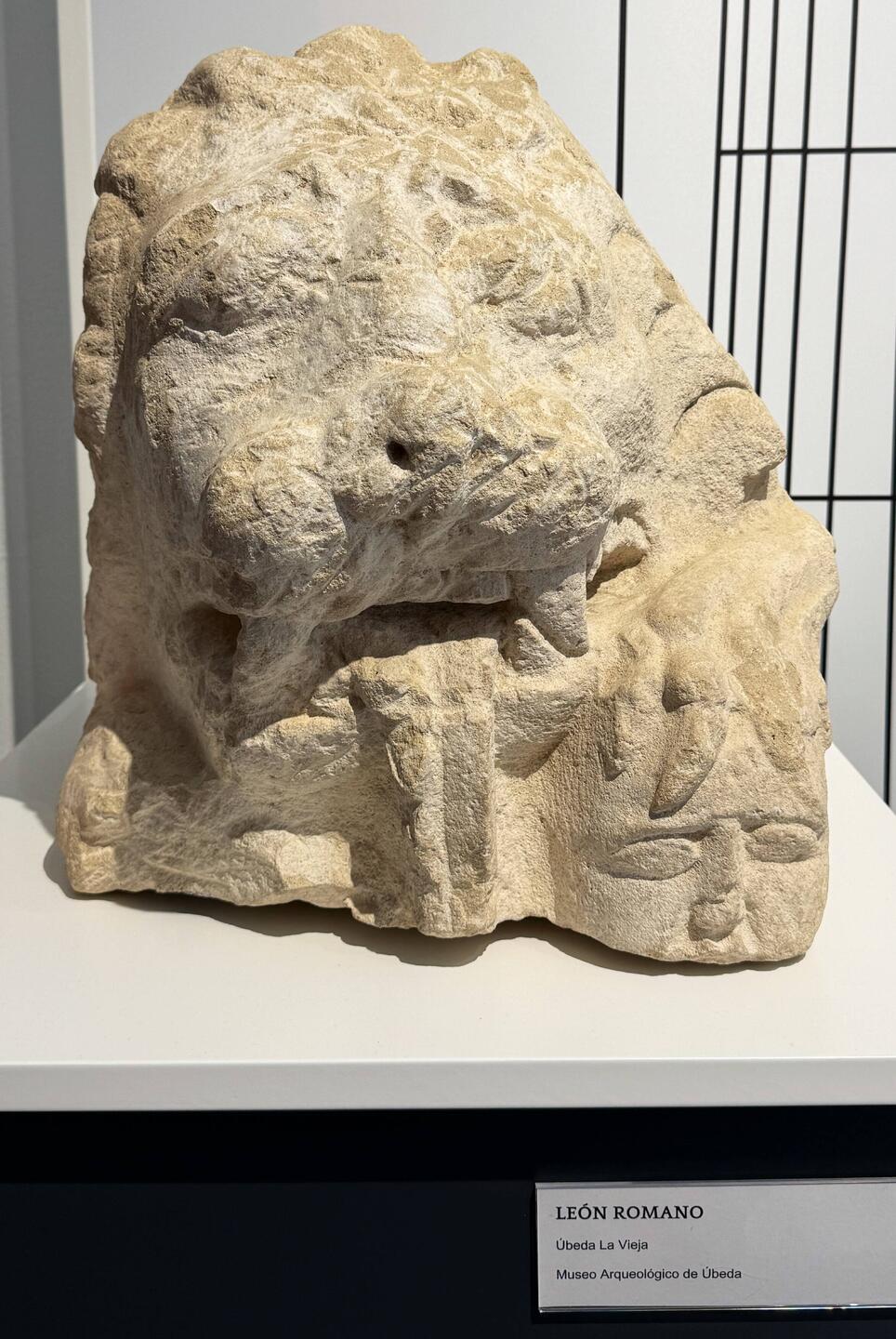 Roman Lion and snack