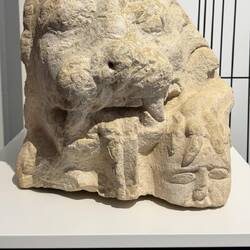 Roman Lion and snack