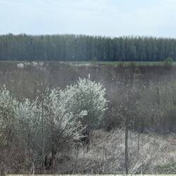 Previously a mine field