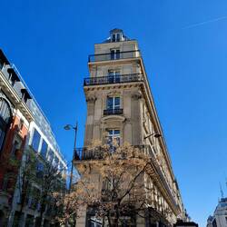 The typical Parisian window scene