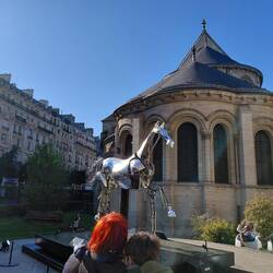 Zeus and the redhead