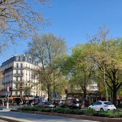 Spring has arrived in Paris