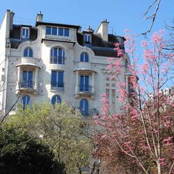 Windows with character and spring blossom