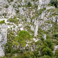 Was für Gebilde hier entstanden sind