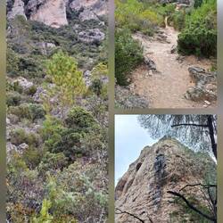 Noch mehr Impressionen