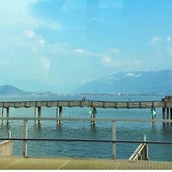 ...immer im Blick der Holzsteg