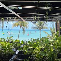 3rd Floor Ocean View