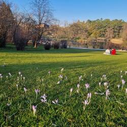 Auch dss gibt es in der Stadt