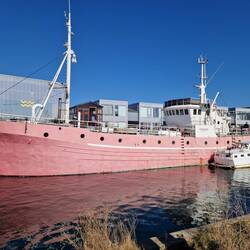 Molly ist bei dem outfit ganz neidisch