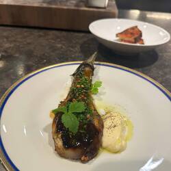 Melanzani mit Parmesancreme