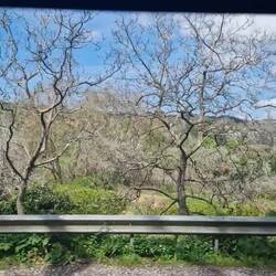 Die Strecki bini vüu gfahre die letschte Täg, bi aune mügleche Wätter und Tagesziite.