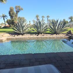 Rough day of pickleball, need to relax.