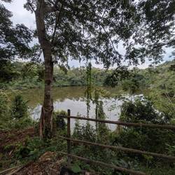 Croc "sanctuary" tres lagunas