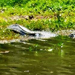 Hier wird schwimmen nicht empfohlen🤣