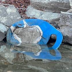 Lake garbage. Not sure what it is.