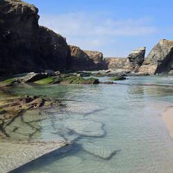 Large tidal pools, but we did not see any sealife.