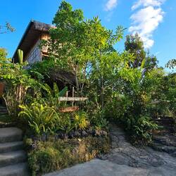 Jungle KingDomes Cafe and Bar.