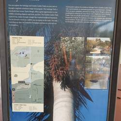 Anhinga war der Natural Trail mit den Tieren.