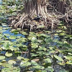 Der hatte die ganze Zeit mit einem viel zu großen Fisch gekämpft, der ist Ihm dann doch entkommen.