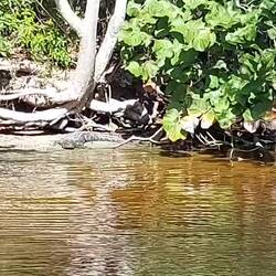 Er bewegt sich sogar ein bisschen.