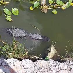 Weiter mit Handtaschen.