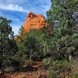 Brins Mesa trail