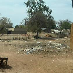 Das größte Problem ist der Müll