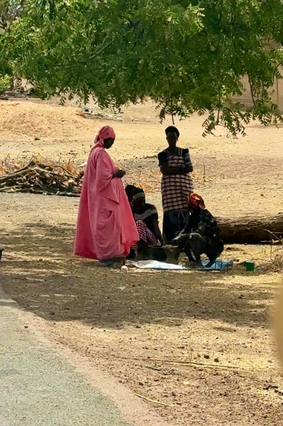 Schatten wird hier gerne genutzt