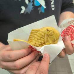 Taiyaki premium custard ⭐⭐⭐⭐⭐