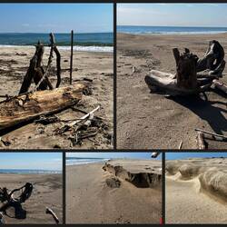 Jede Menge Treibholz und Ministeilküsten