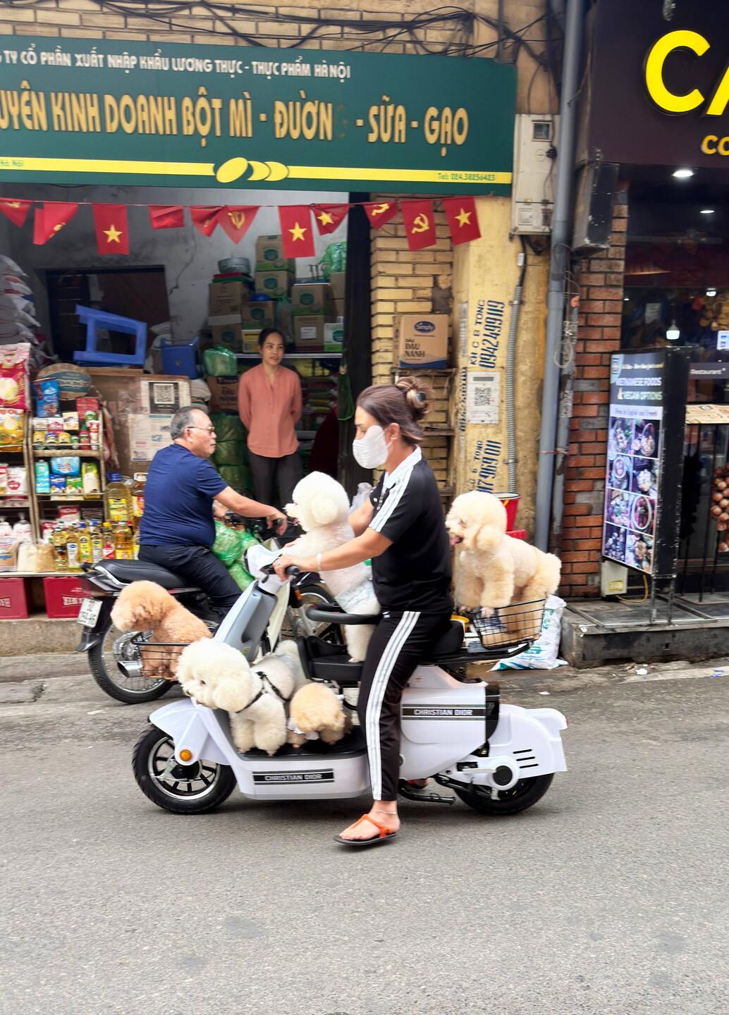 Verrücktes Hanoi