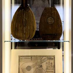 Sala delle Feste ... Palazzo Sanguinetti ... MIBdM — Bologna, Italy