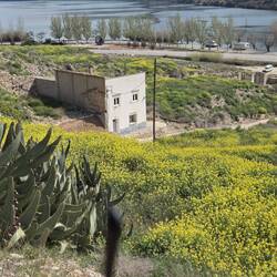 Das Haus hing beim Makler für 66000🤔🥸