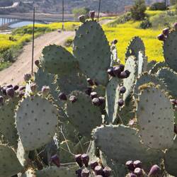 Isses nicht ne Pracht🤗