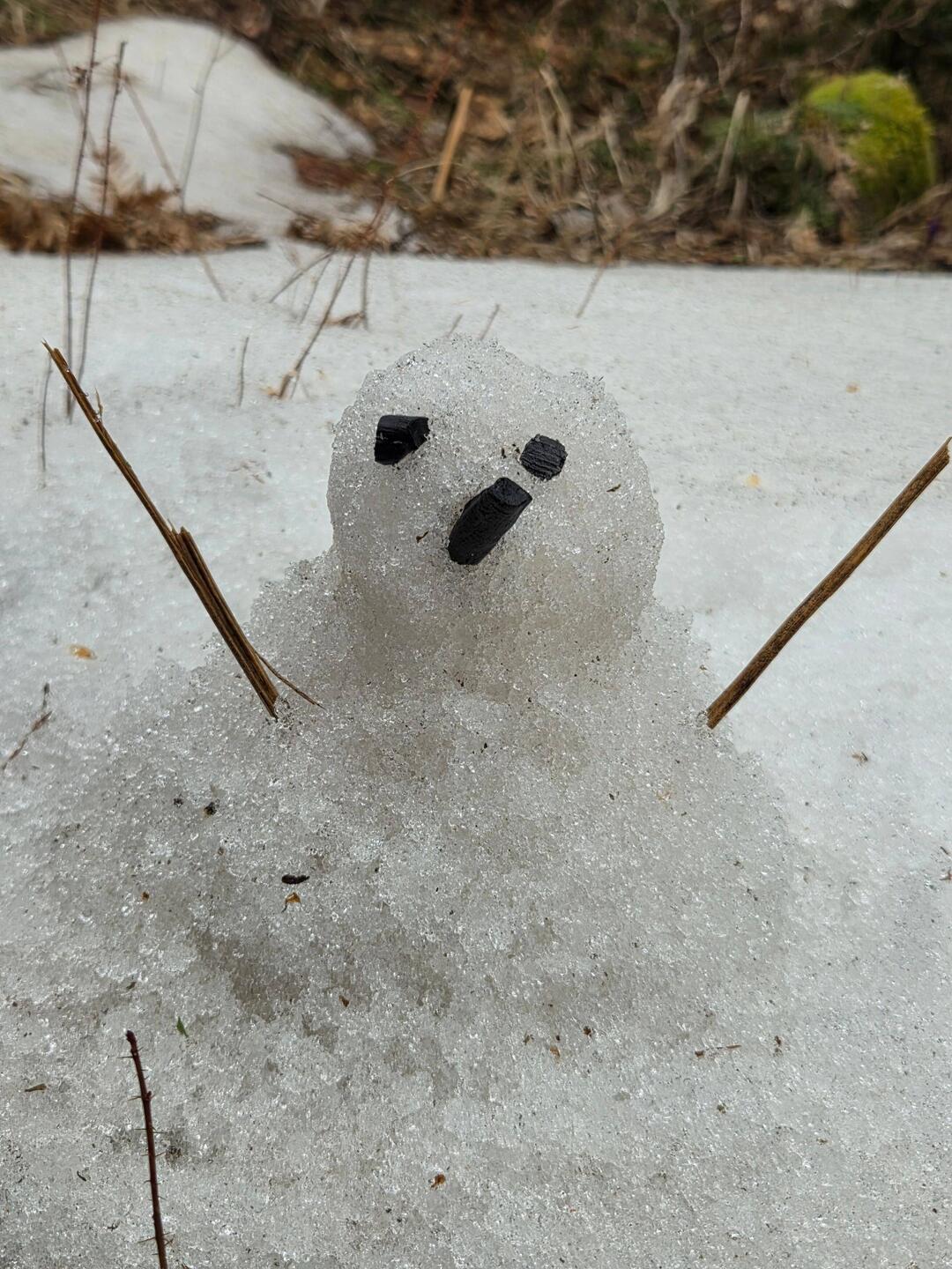 Snowbaby