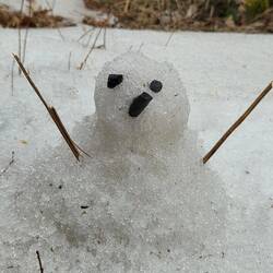 Snowbaby