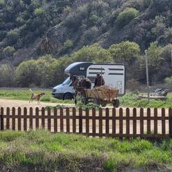 Horse and cart that passed when we were at the thermal bath.