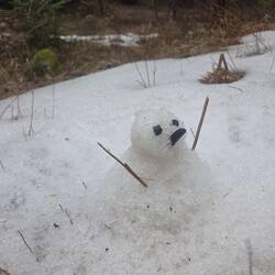 Snow baby