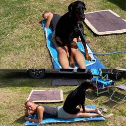 ..ob Lesley da irgendwie was falsch verstanden hat!? 🤔😅🐾💞