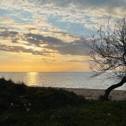 ..meine absolute Lieblingszeit des Tages ❣️