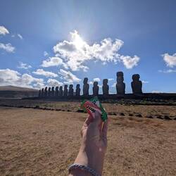 Dum dum brought Gum gum 🎬