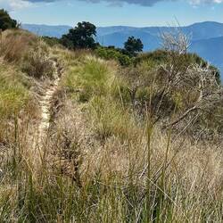 The line of the Acequia de Barjas