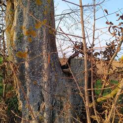 Geocaching gestarteten