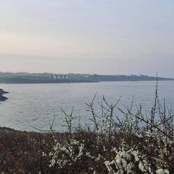 Pointe St. Mathieu