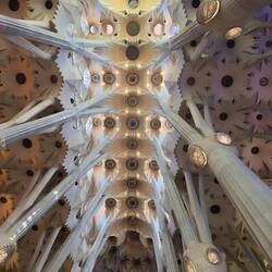 The ceiling of the Sagrada Família with the pillars as symbolic tree trunks and the canopy.