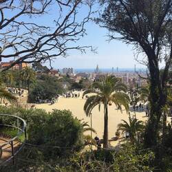 Park Guell's viewing platform.