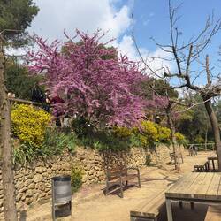 Park Guell.