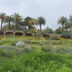 Park Guell.