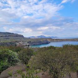 Blick über die blühenden, und wunderbar duftenden Orangenbäume in die Bucht
